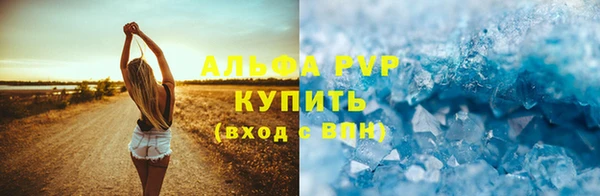 ГАЛЛЮЦИНОГЕННЫЕ ГРИБЫ Верея